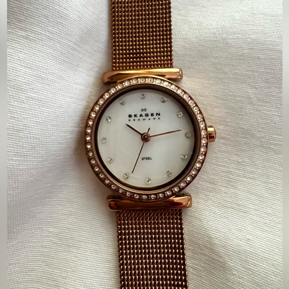 Skagen watch